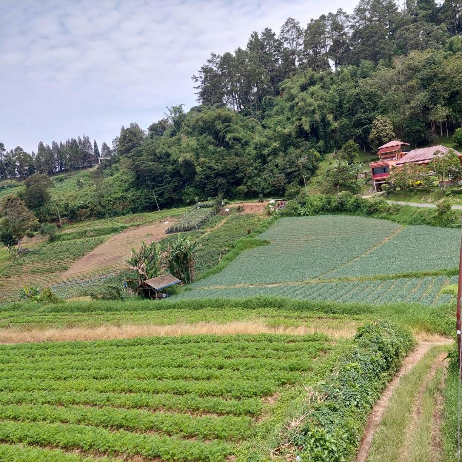 Sapo Rumbia 不拉士打宜 客房 照片